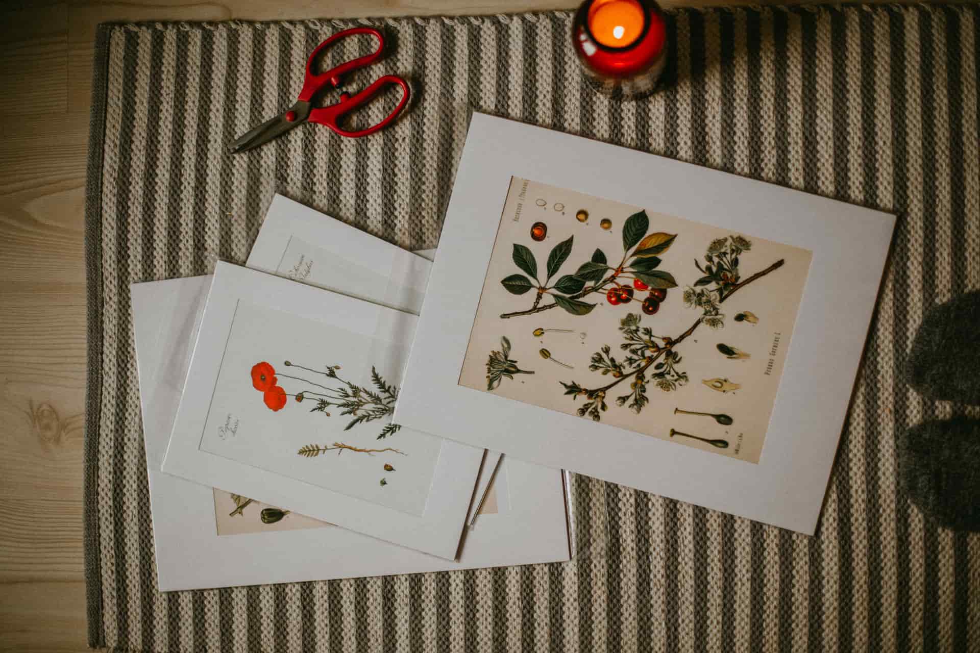 Unframed art prints fanned out on a table beside a frame
